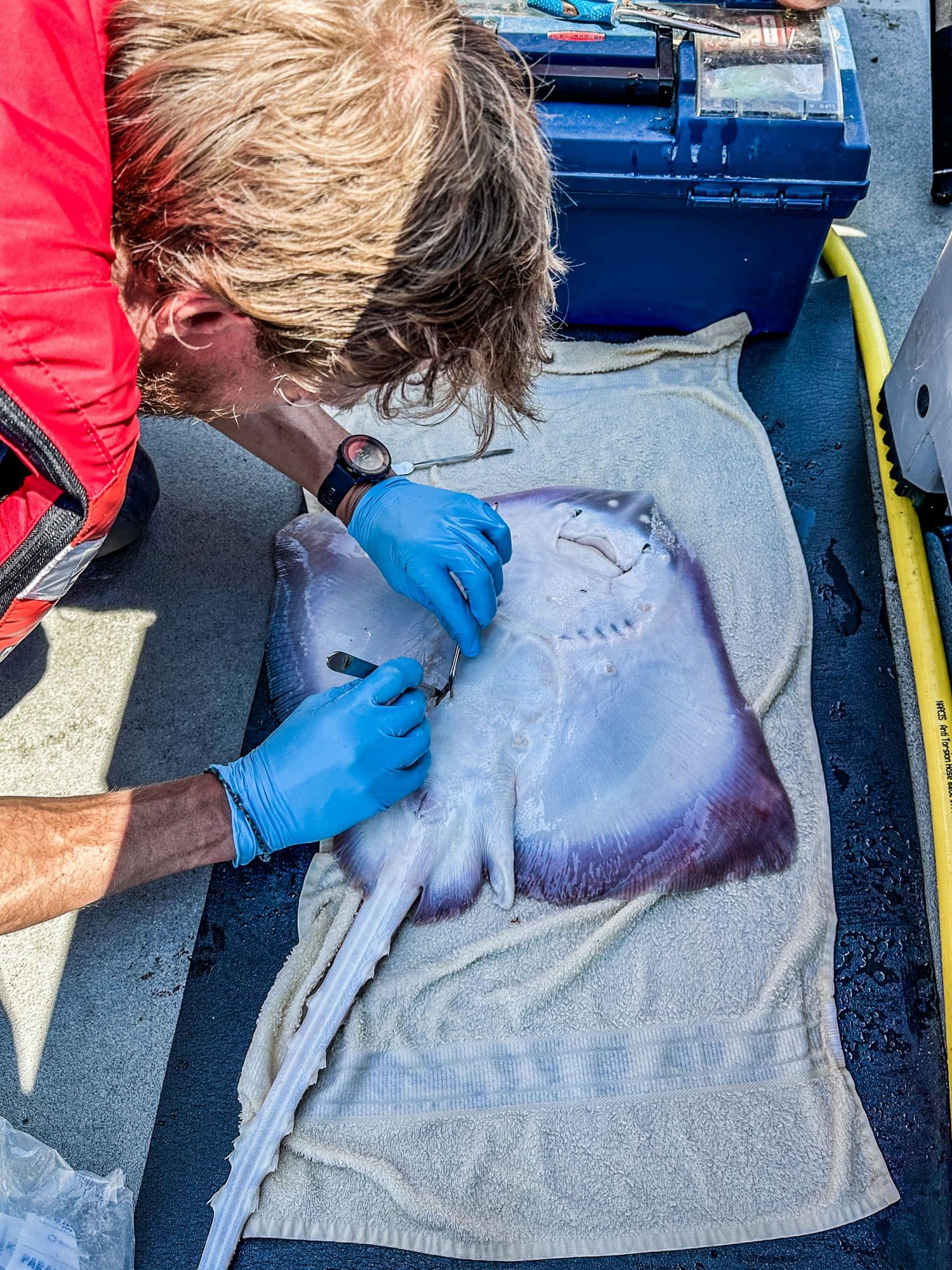 Open Protocol vs Closed networks