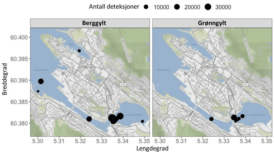 Maps of Bergen