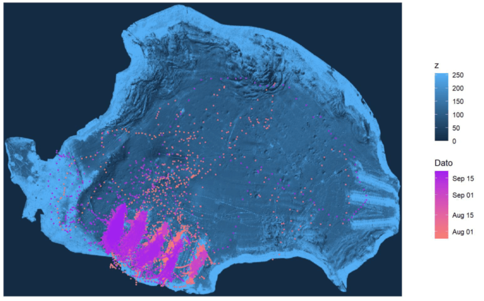 Positioning of an individual cod spending time by the floating docks