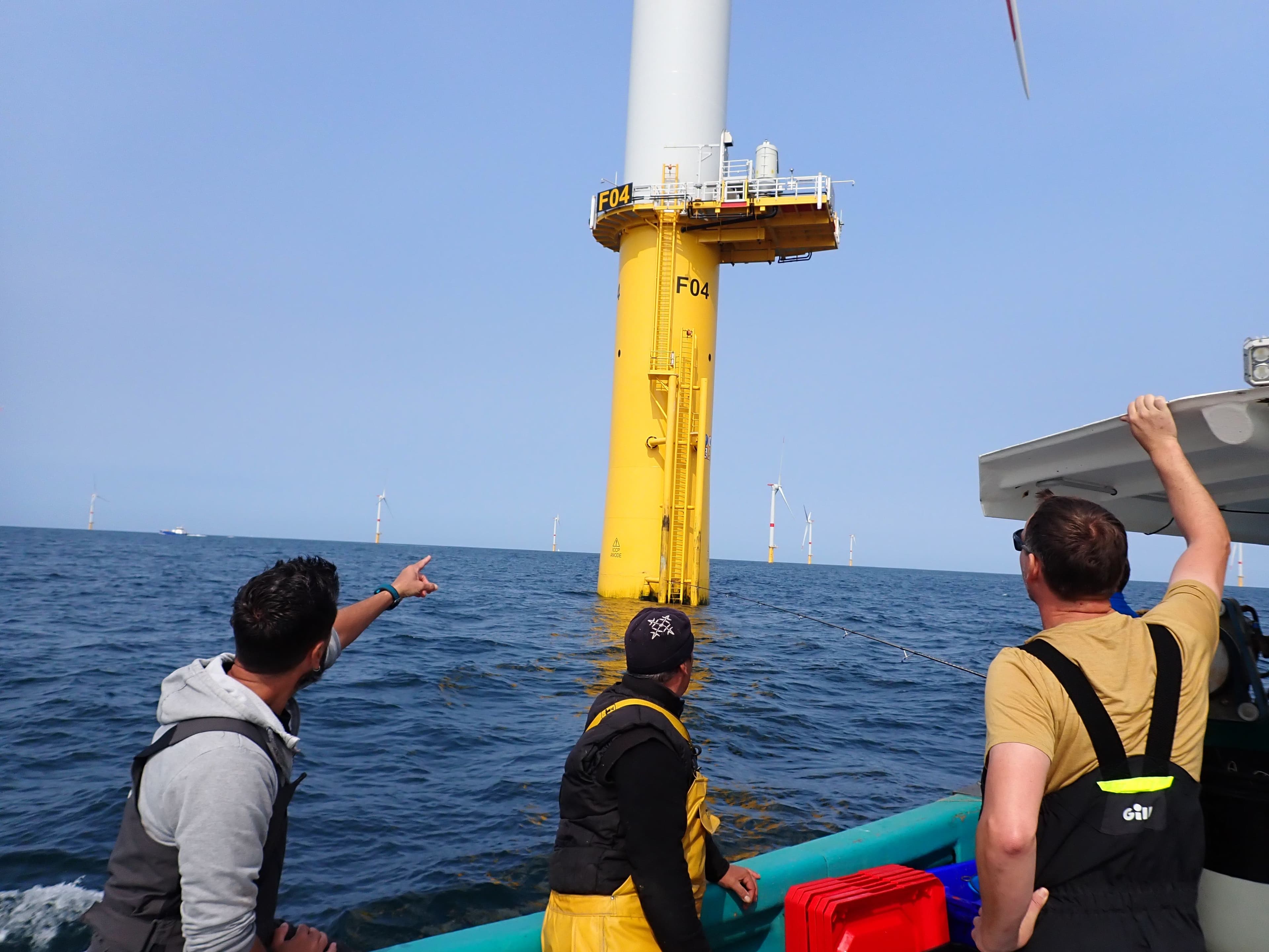 monitoring the energy transition