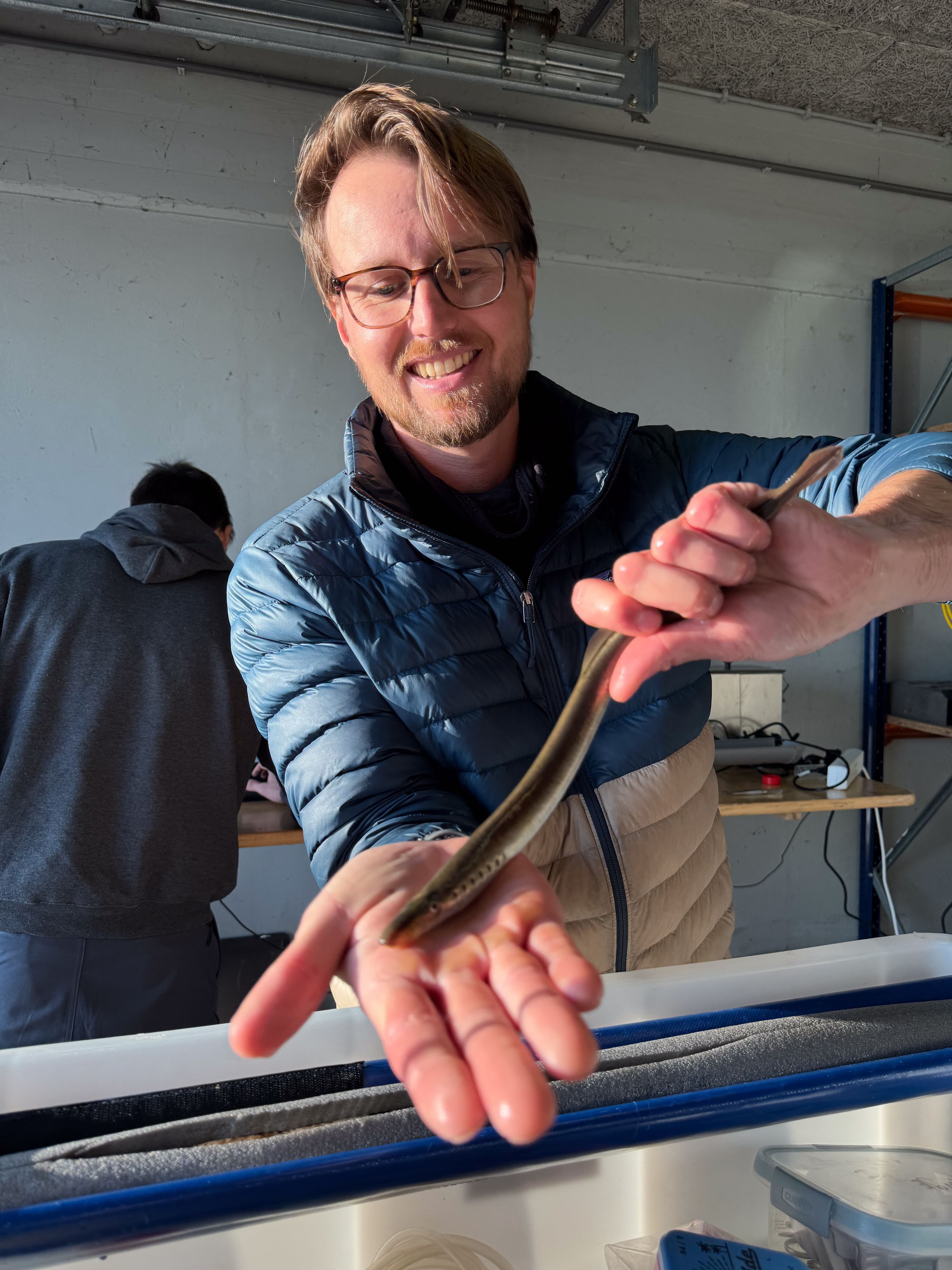 Jimmy van Rijn handling a rare river lamprey during tagging ©drtwanstoffers