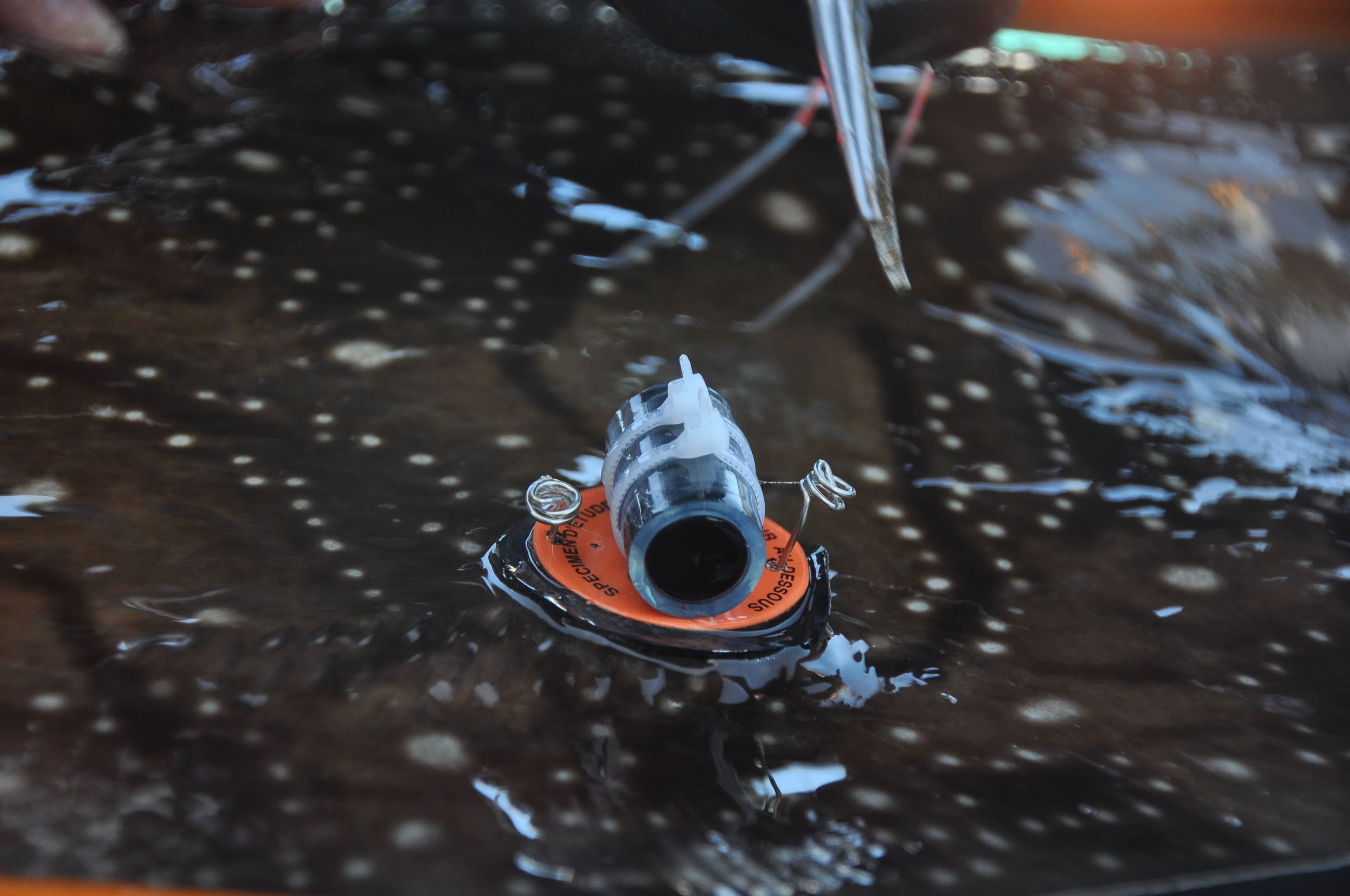 what telemetry makes visible