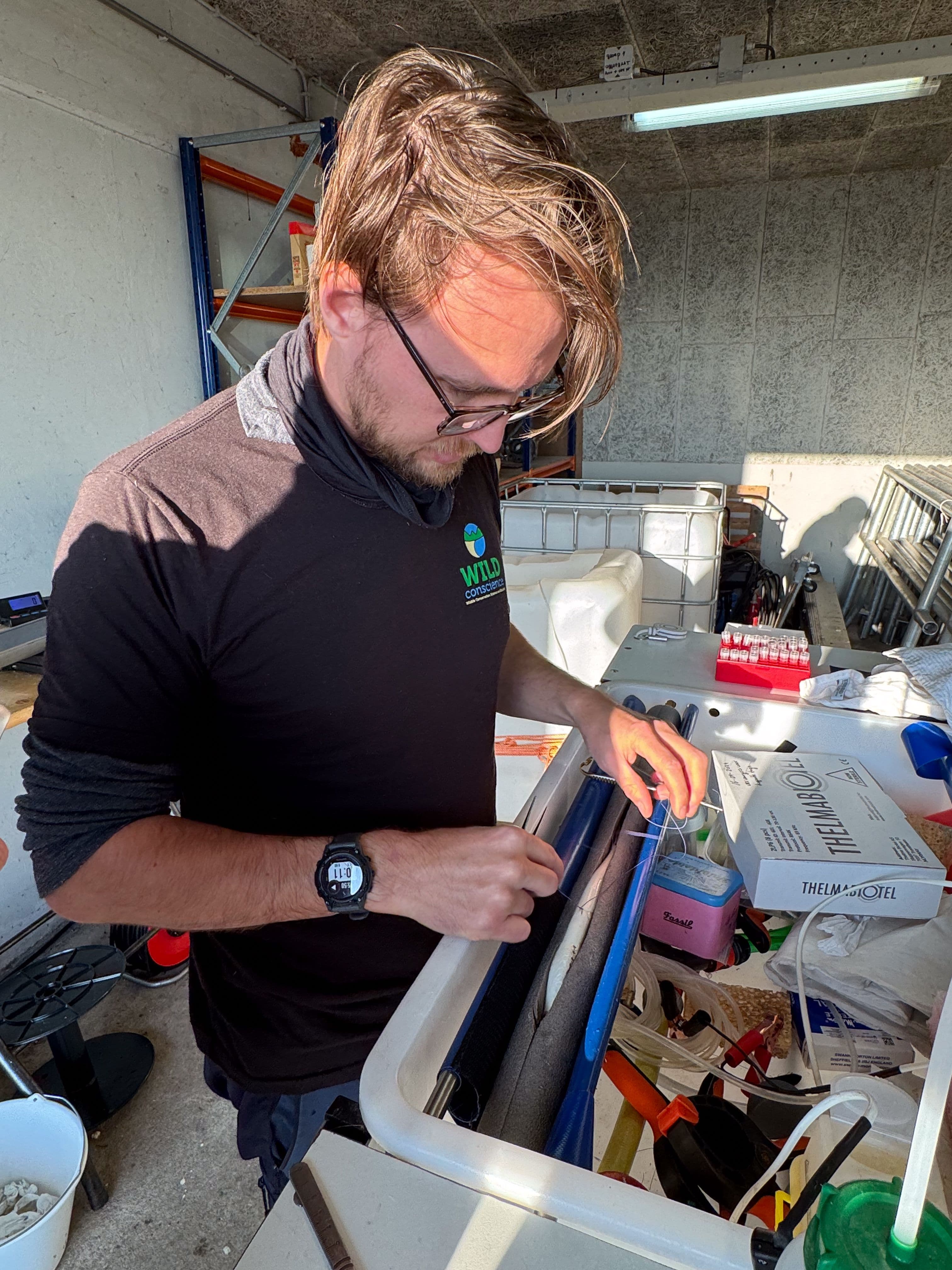 Jimmy van Rijn conducting a tagging surgery in his sluice-tagging-lab